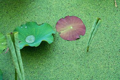 客户拖欠款项把这家成立16年的游戏工作室拖死了